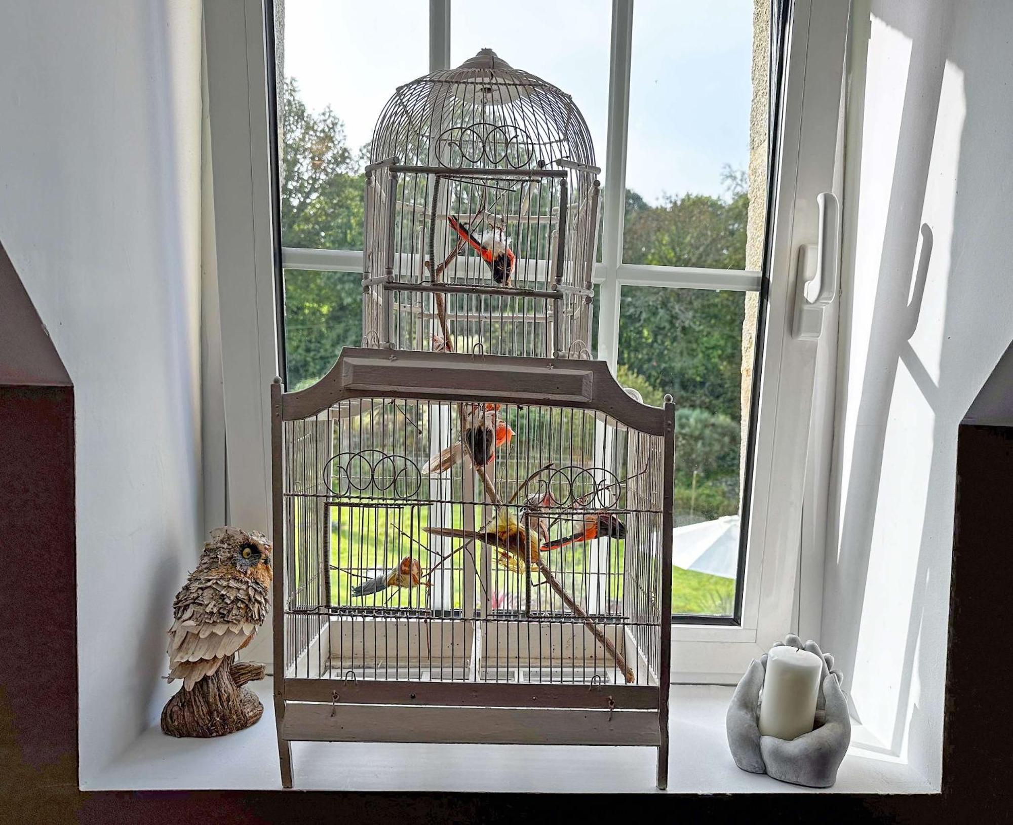 Les Pierres Bleues Bed & Breakfast Saint-Coulitz ภายนอก รูปภาพ